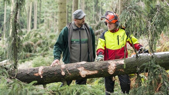 Ein Revierförster kontrolliert 2017 nach einem Sturm mit einem Waldarbeiter die Schäden im Wald.