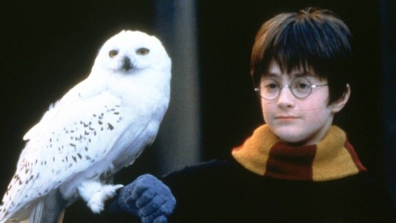 Daniel Radcliffe als Harry Potter mit Eule