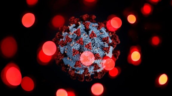 Coronavirus, umgeben von anderen Krankheitserregern