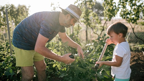 Geht gut mit Opa: Enkel bei der Gartenarbeit mit dem Großvater (Symbolbild)